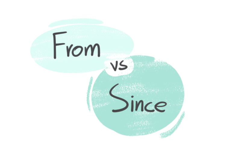 "From" vs. "Since" in the English grammar