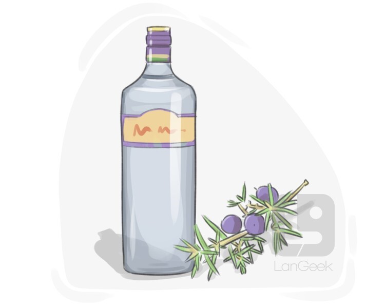 Definition & Meaning of "Gin" LanGeek