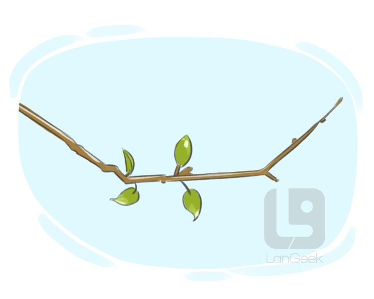 Definition & Meaning of Twig