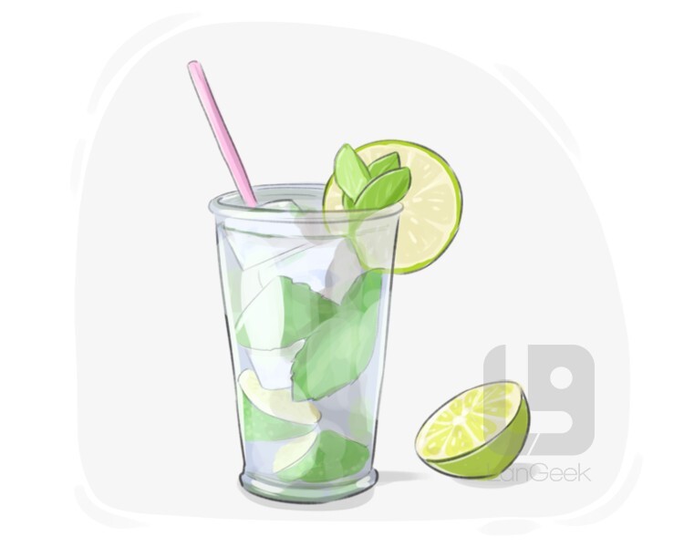 Definition & Meaning of "Mojito" LanGeek