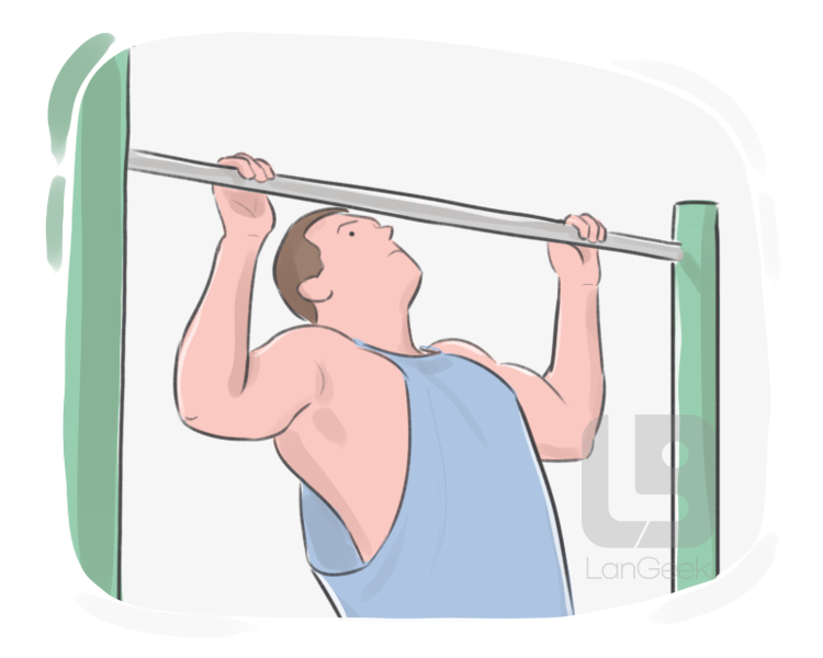 pull-up definition and meaning
