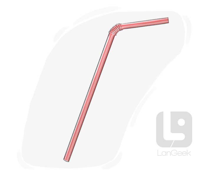 drinking straw definition and meaning