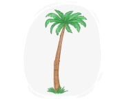 palm