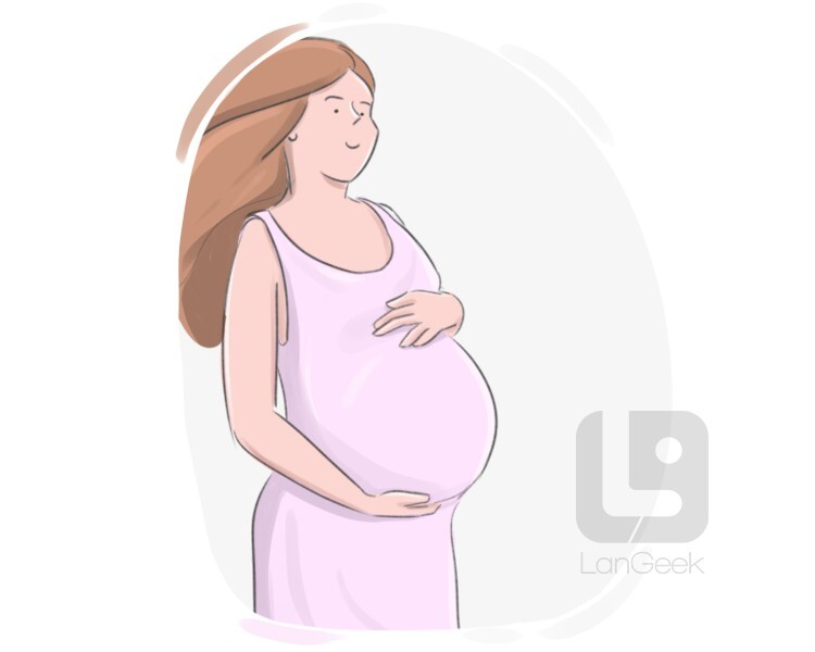 Definition & Meaning of "Pregnancy" LanGeek