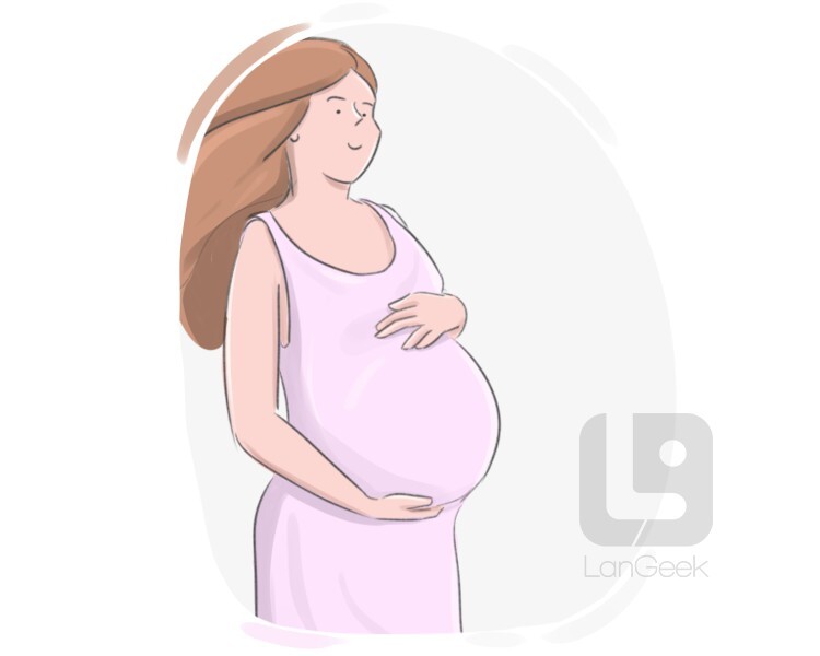 to [have] a bun in the oven definition and meaning