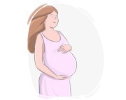 gestation