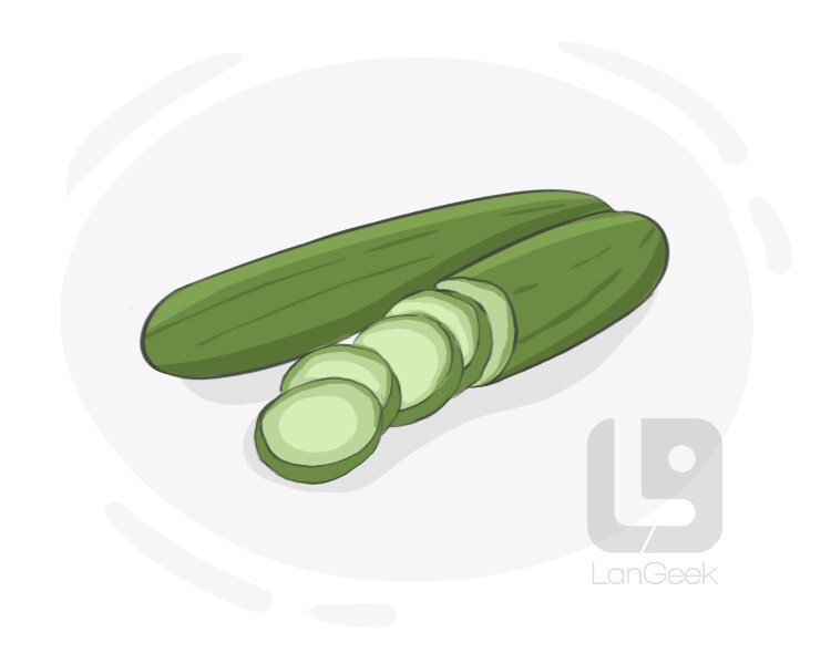 Definition & Meaning of "Cuke" LanGeek