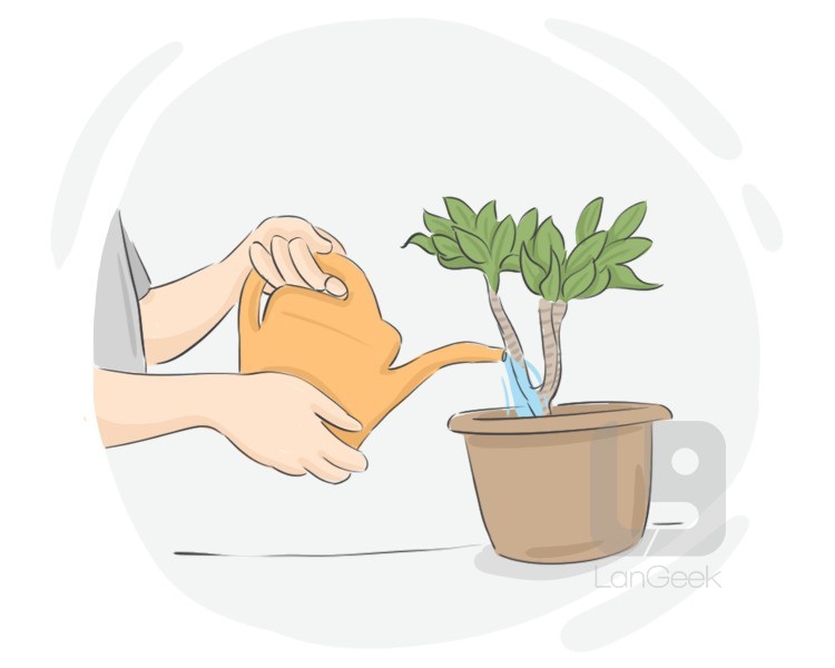 plant pot definition and meaning