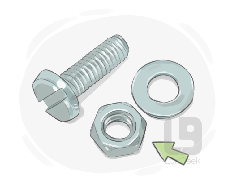 Definition & Meaning of "Nut" LanGeek