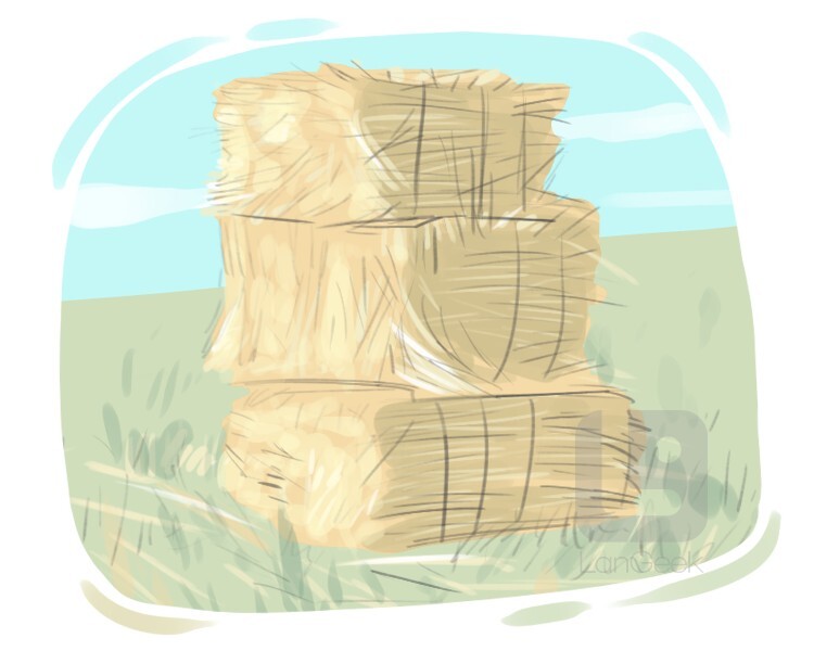 definition-meaning-of-hay-langeek