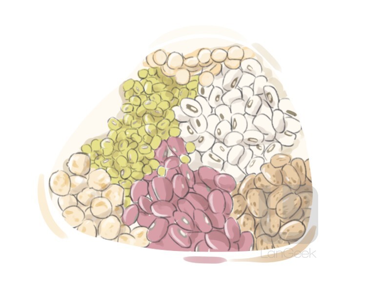 Definition & Meaning of "Legume" LanGeek