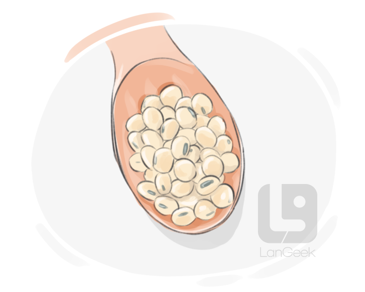 soya bean definition and meaning