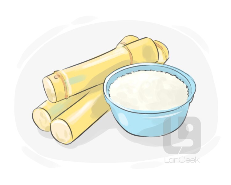 sugar cane definition and meaning