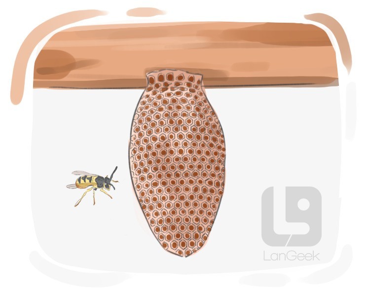 honeycomb definition and meaning