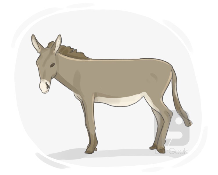 Definition & Meaning of Mule