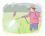 pesticide