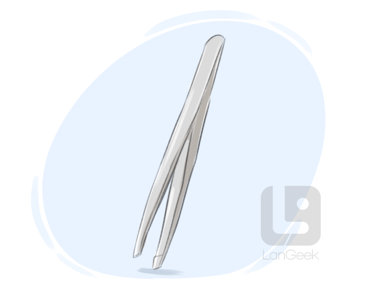 pair of tweezers definition and meaning