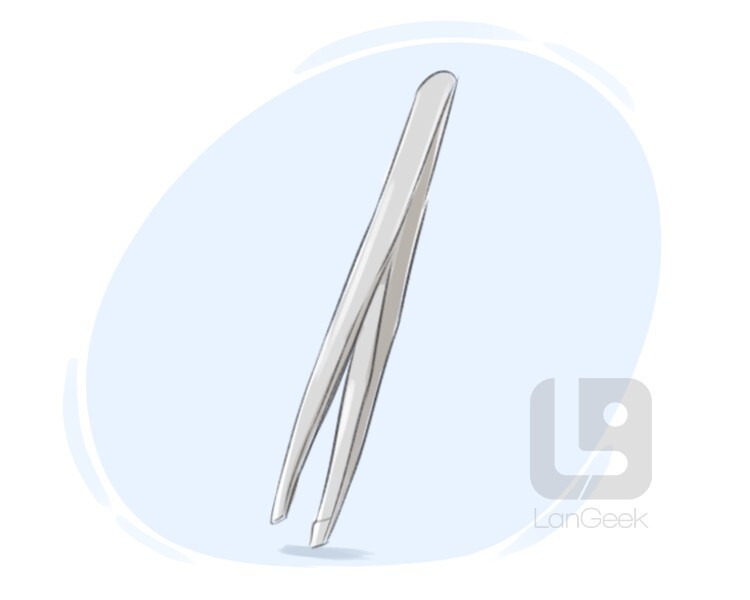 pair of tweezers definition and meaning