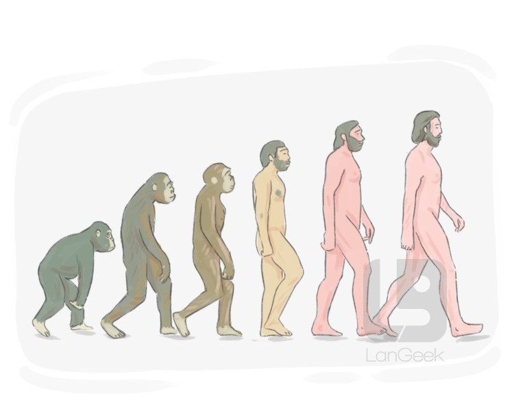 Definition & Meaning of "Evolution" | LanGeek