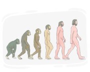 evolution