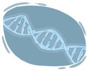 DNA