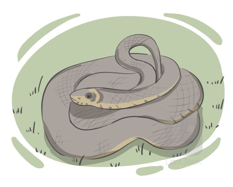 cartoon mean snake