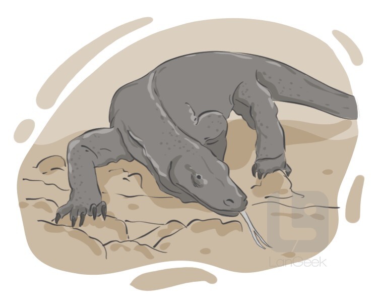 Komodo dragon definition and meaning