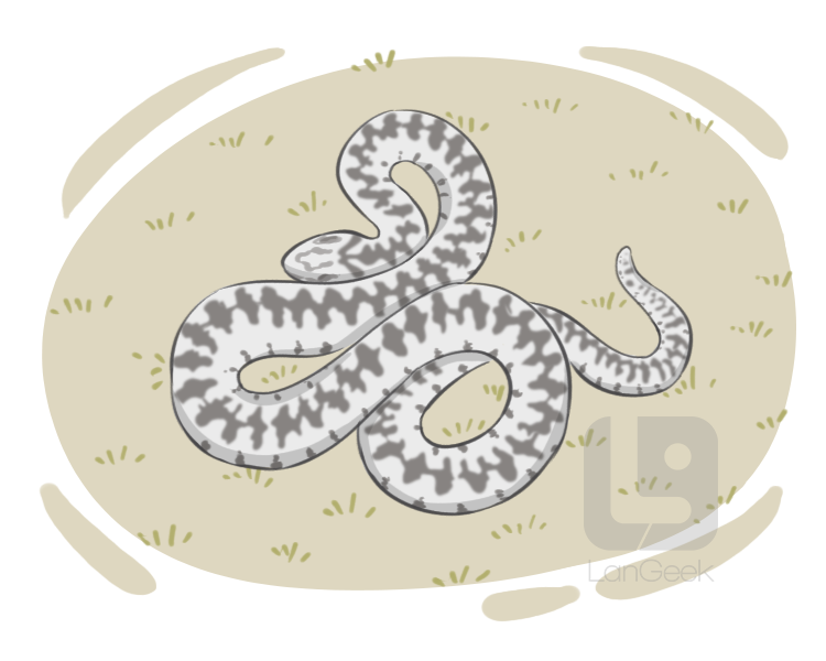adder definition and meaning