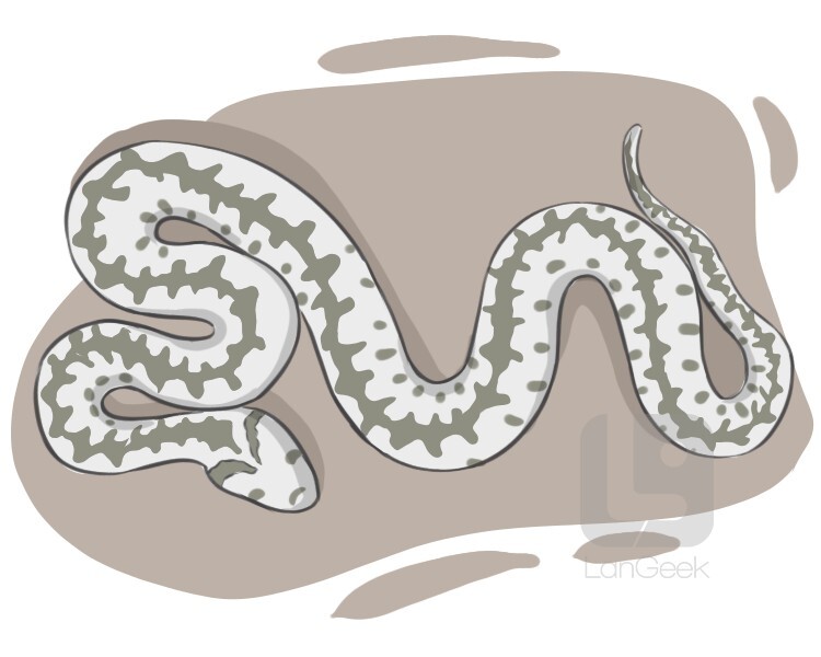 Definition & Meaning of 