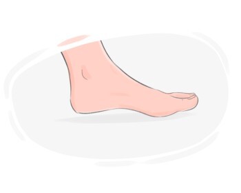 foot