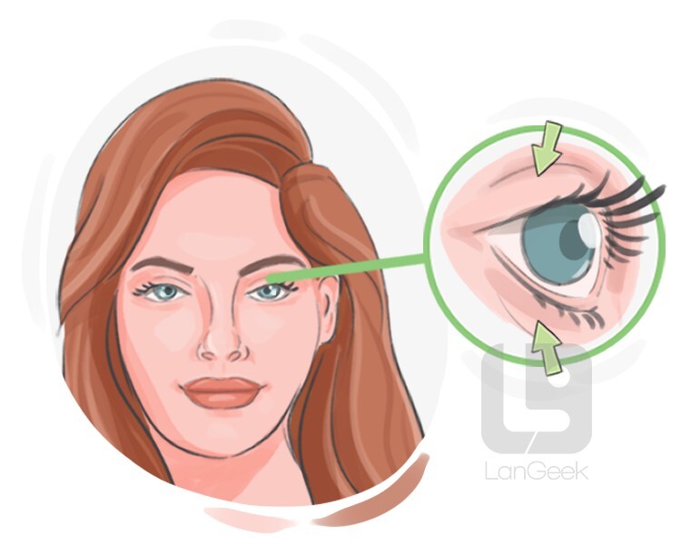 Definition & Meaning of "Eyelid" LanGeek