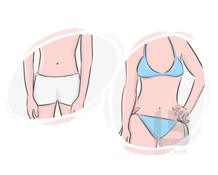 Definition & Meaning of Undergarment