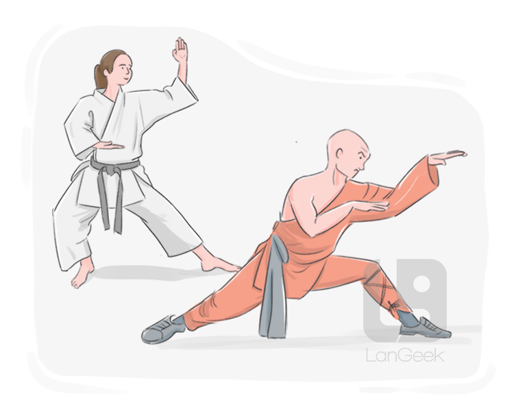 martial art definition and meaning