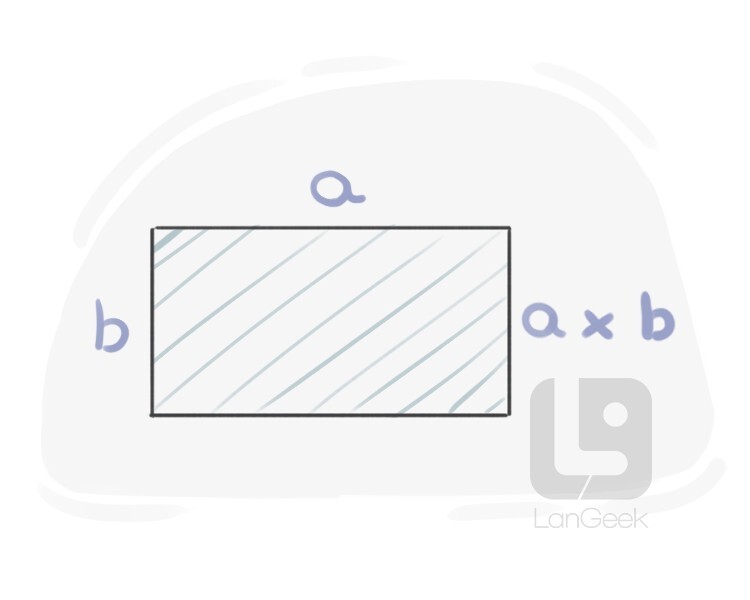 surface area definition and meaning