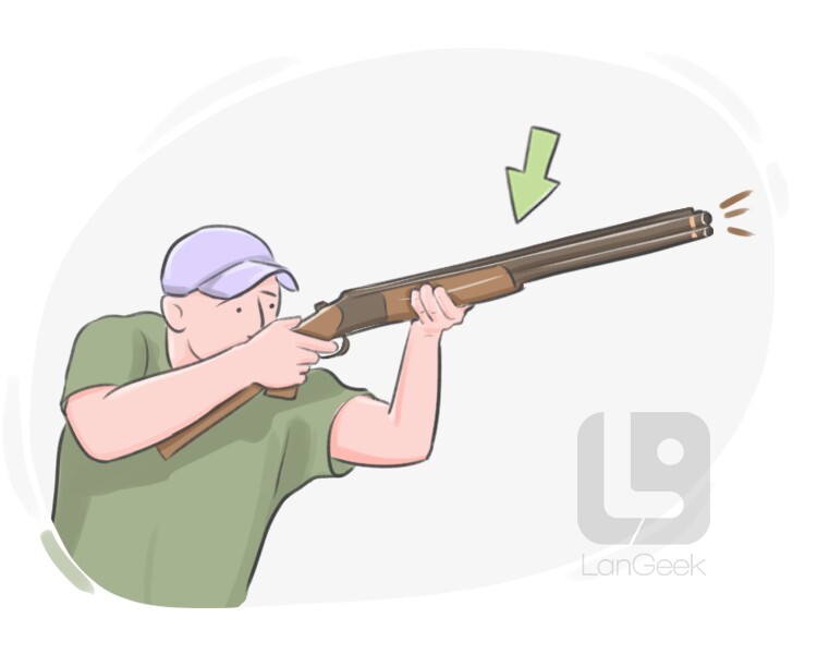 Definition Meaning Of Rifle LanGeek