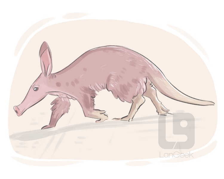 Definition & Meaning of "Aardvark" | LanGeek