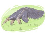 anteater