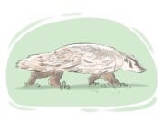 badger
