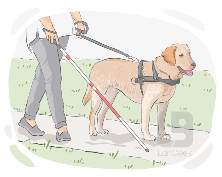 seeing eye dog definition and meaning