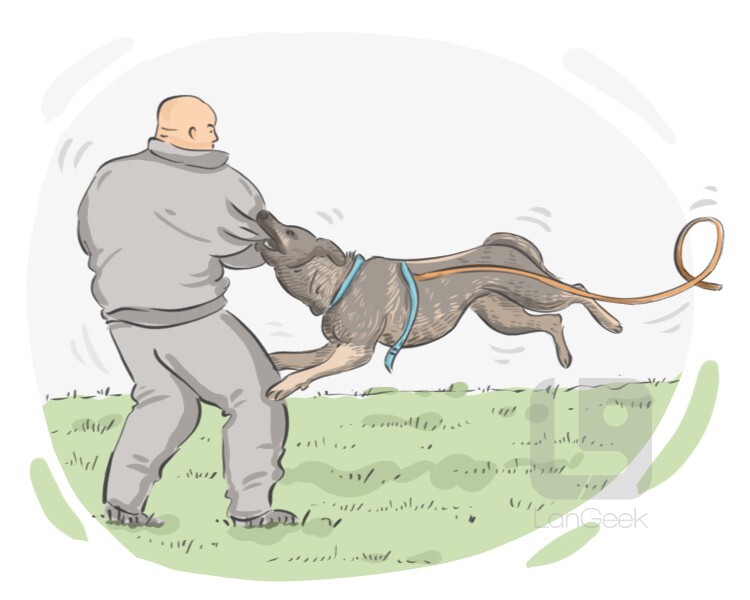 definition-meaning-of-attack-dog-langeek