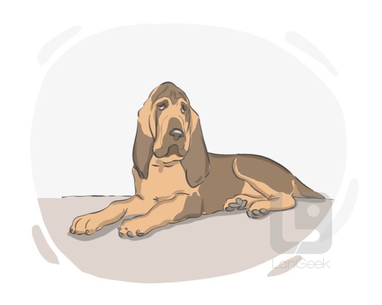 Bloodhound definition and meaning
