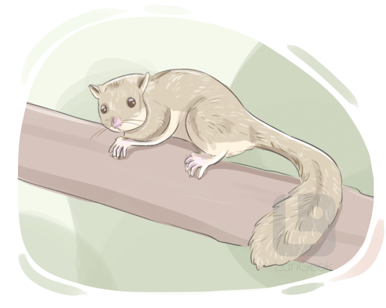dormouse definition and meaning