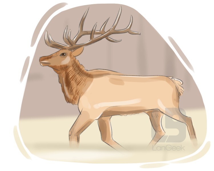 Definition & Meaning of "Wapiti" LanGeek