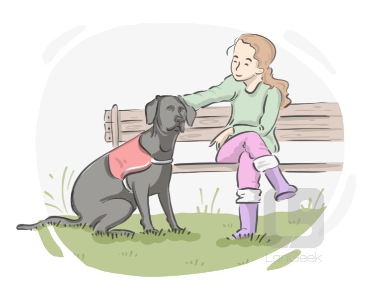 guide dog definition and meaning