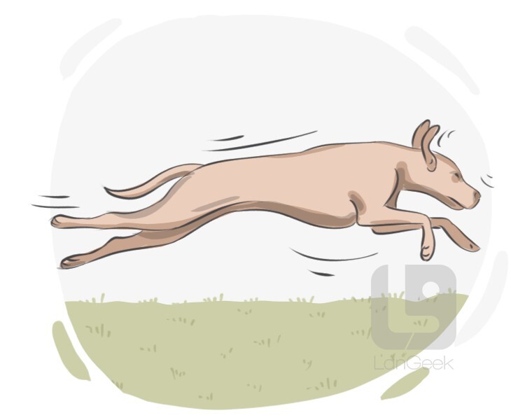 Definition & Meaning of "Running dog" LanGeek