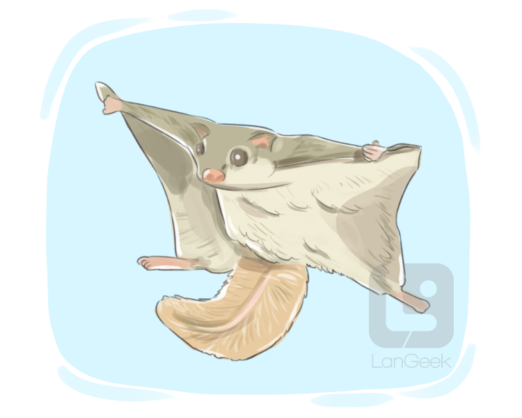 flying squirrel definition and meaning