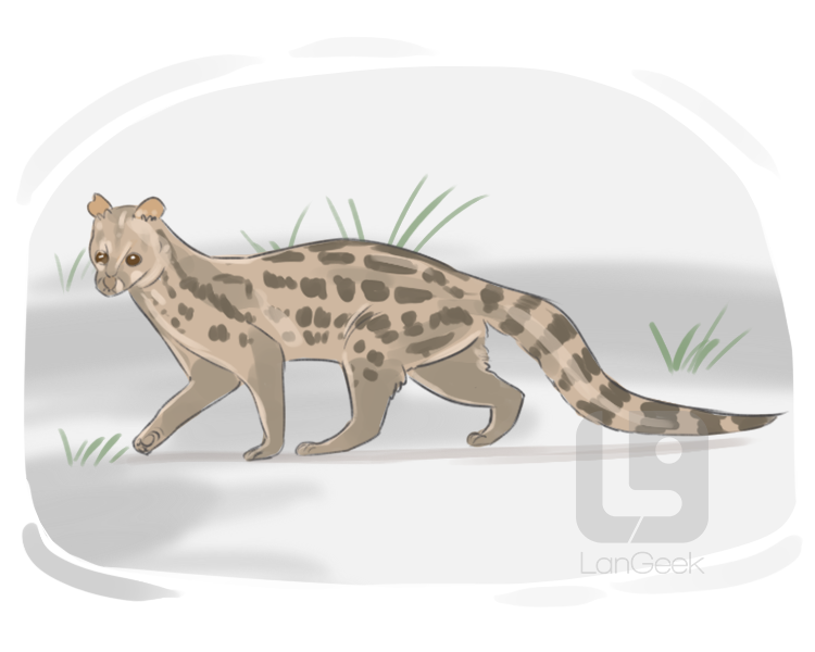 genet definition and meaning