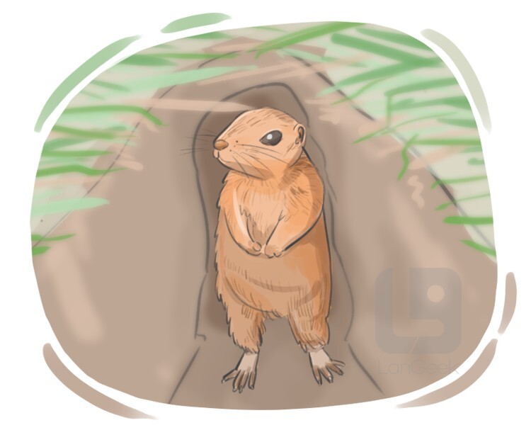 la-traduction-du-mot-gopher-langeek