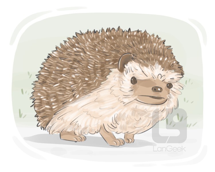 hedgehog definition and meaning