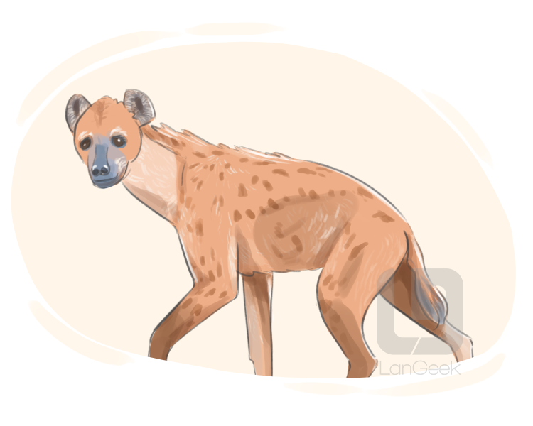 spotted hyena definition and meaning